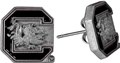 South Carolina Gamecocks NCAA Stud Earrings