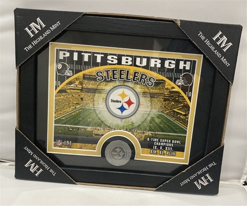 Pittsburgh Steelers NFL 11" x 9" Framed & Matted Stadium Photo Mint w/ Coin